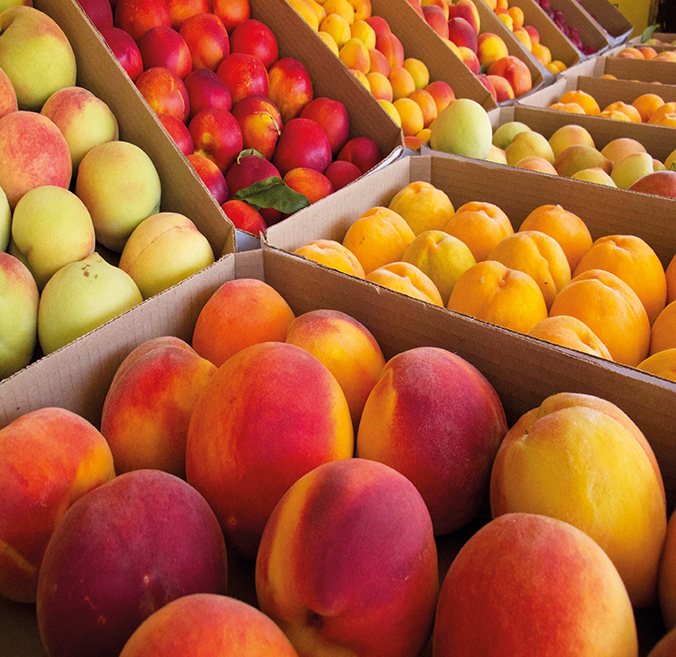 FRUITFUL PURSUITS LANGKLOOF VALLEY